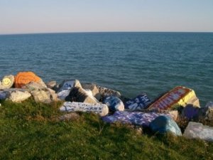 Northwestern University - The Lake Fill