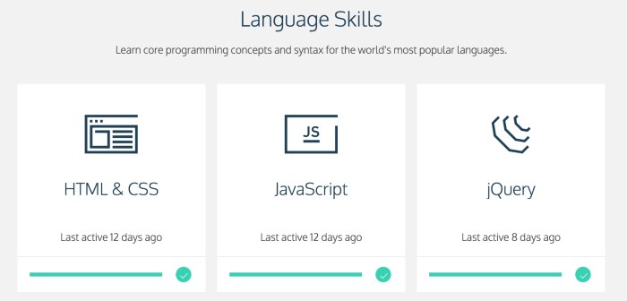 langskillz copy